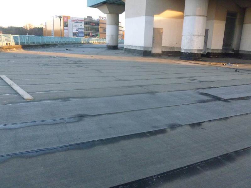 Технический надзор (кровля) ТЦ «Алые паруса» фото 3