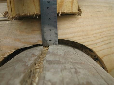 Обследование деревянных конструкций стен фото 2