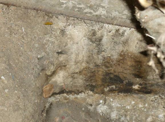 Экспертиза капитальности здания торгового павильона фото 4