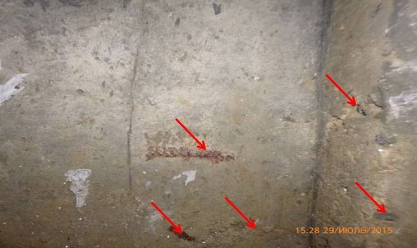 Экспертиза подвального помещения и пристенного дренажа загородного жилого дома фото 2