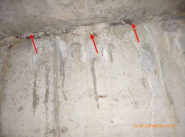 Экспертиза подвального помещения и пристенного дренажа загородного жилого дома фото 3