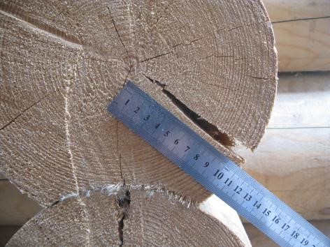 Обследование деревянных конструкций стен фото 3