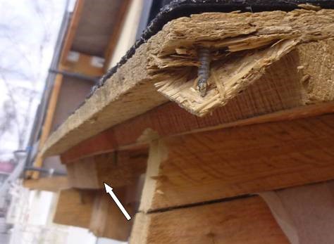 Экспертиза кровли фото 6