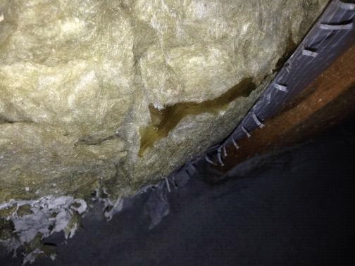 Обследование кровли жилого дома на предмет определения технического состояния фото 2