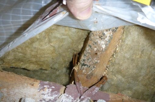 Обследование кровли жилого дома на предмет определения технического состояния фото 1