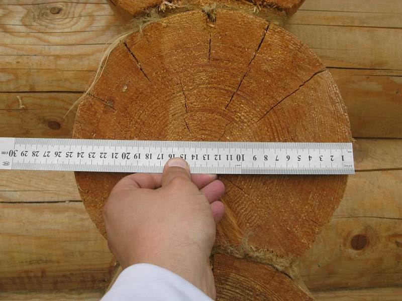 Обследование деревянных конструкций стен фото 1