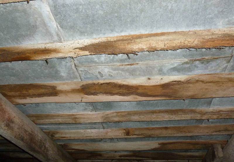 Экспертиза кровли здания фото 2